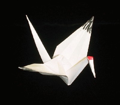 crane_OrigamiWhoop.jpg