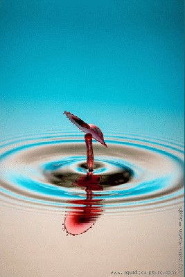LiquidSculpture116805.jpg