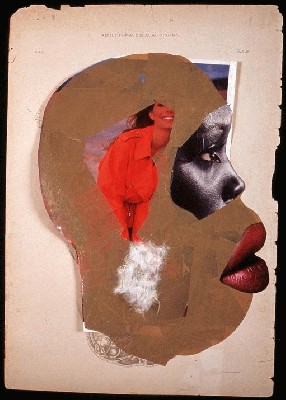 female sexual organs.jpg