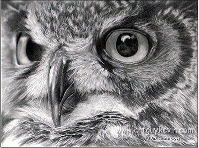 Owl_Portrait.jpg