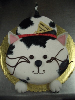 _Cake_Cat.jpg