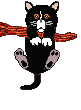 31.gif