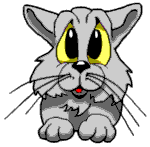 243.gif
