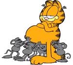 227.gif