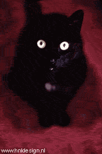406.gif