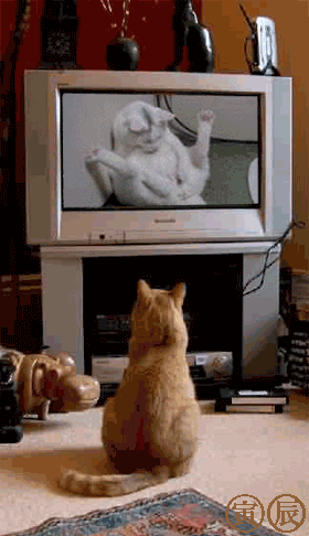401.gif