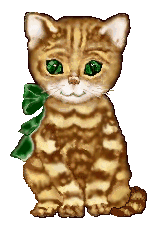 277.gif