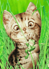 423.gif