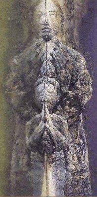 47198968.jpg