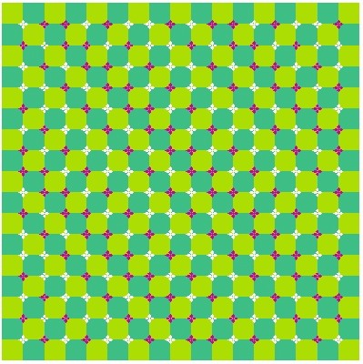 47271006.jpg