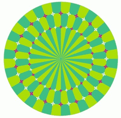 47270998.jpg