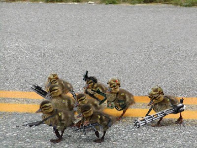 soldierchicks_198.jpg