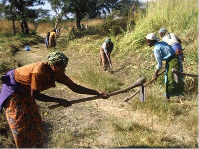 darbas_savanoriu_afrikoje_06.jpg