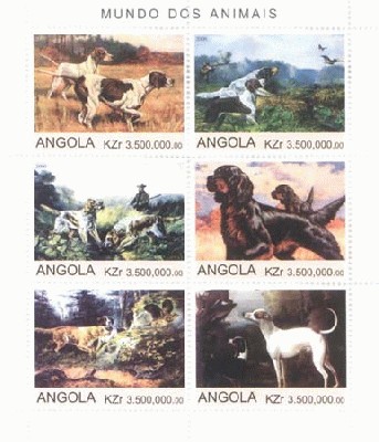 Angola_Dogs0001.jpg