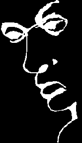 veidas ar zodis 'liar'.gif