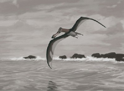 pterosaur.jpg