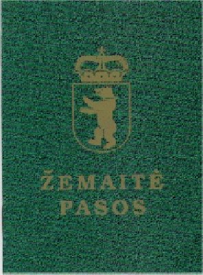 pasas1.jpg