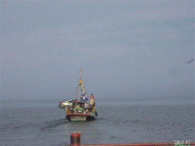 keltas_estija_saaremaa_8.jpg