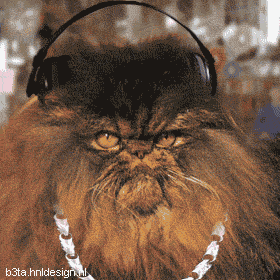 hiphop_cat.gif