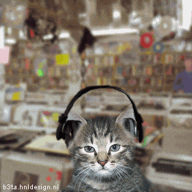 stevie_wonder_cat.gif