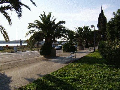 STA70197.JPG