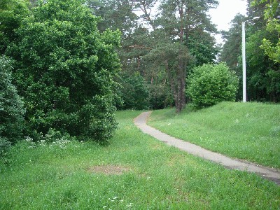 d4.jpg
