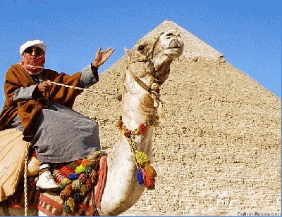 At Giza.jpg