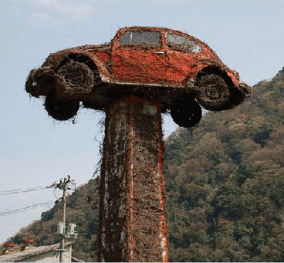 vw_volkswagen_vabalas_bug__beetie_21.jpg