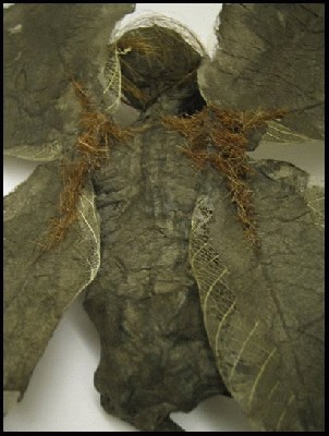 rudenine_feja_08.JPG