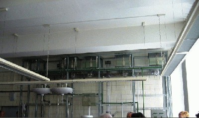 P1000448.JPG