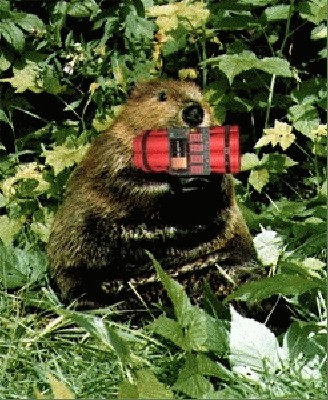 BBomb2.JPG