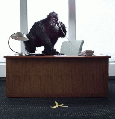 Phillip_Toledano (17).jpg