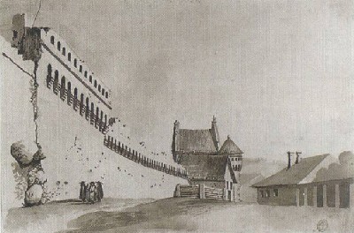 ginybine_siena_palei_subaciaus_gatve_smuglevicius.jpg