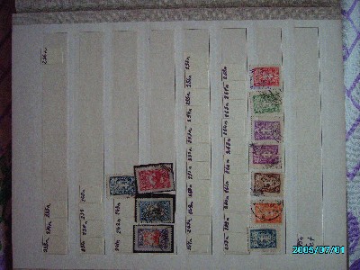 IMGP0703.JPG
