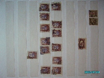 IMGP0717.JPG