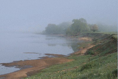 Picture 136.JPG