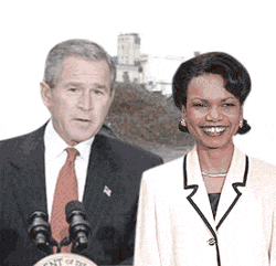 bushas.gif
