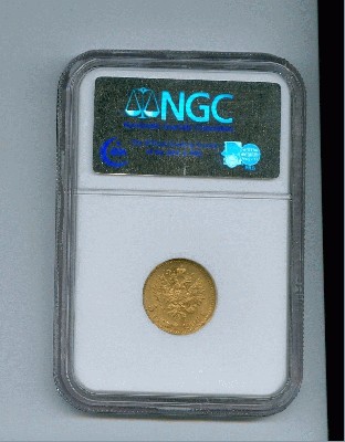 5b.jpg