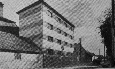 Klaipedos mieliu f-as (1).jpg
