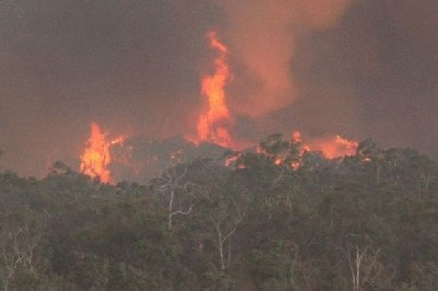 australija3.jpg