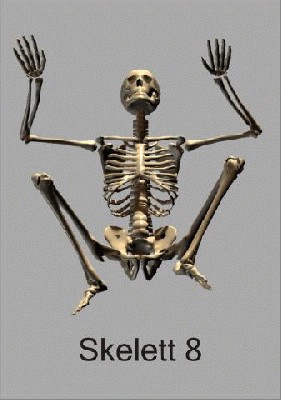 skelett8_480.jpg