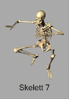 skelett7_480.jpg