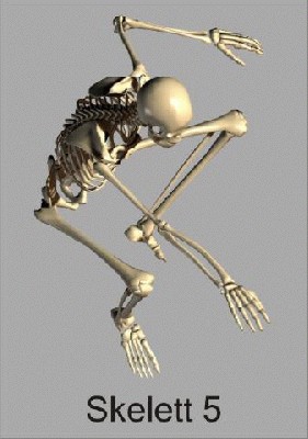 skelett5_480.jpg