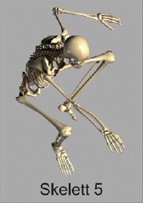 skelett5_480.jpg