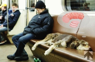 miegas-sapnas3.jpg