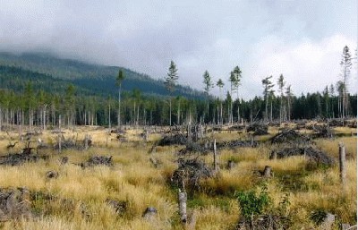 Tornado buvo.JPG