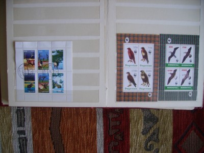 PICT0844.JPG