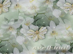 sveikinimas.jpg
