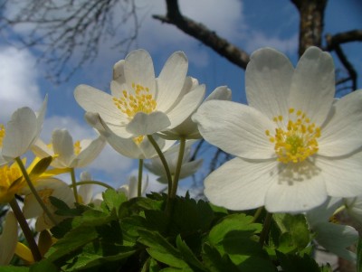 DSCF8178.JPG