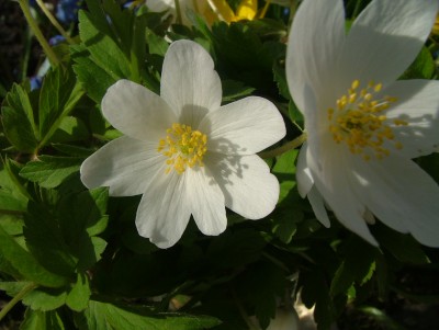 DSCF8179.JPG